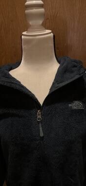 Emerald Green The North Face Osito Hooded Fleece Jacket